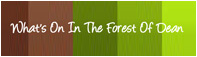 What's On In The Forest of Dean Logo