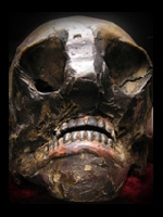 Gruesome Skull